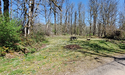 Barrier Dam Campground, Salkum, Washington