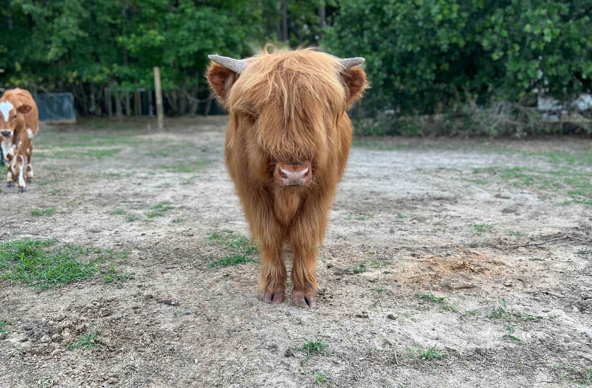 Outside Inn Campground, Santee, South Carolina