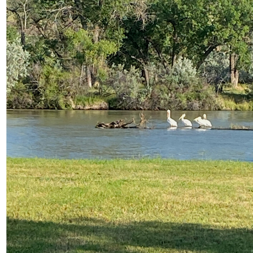 Platte River RV Park