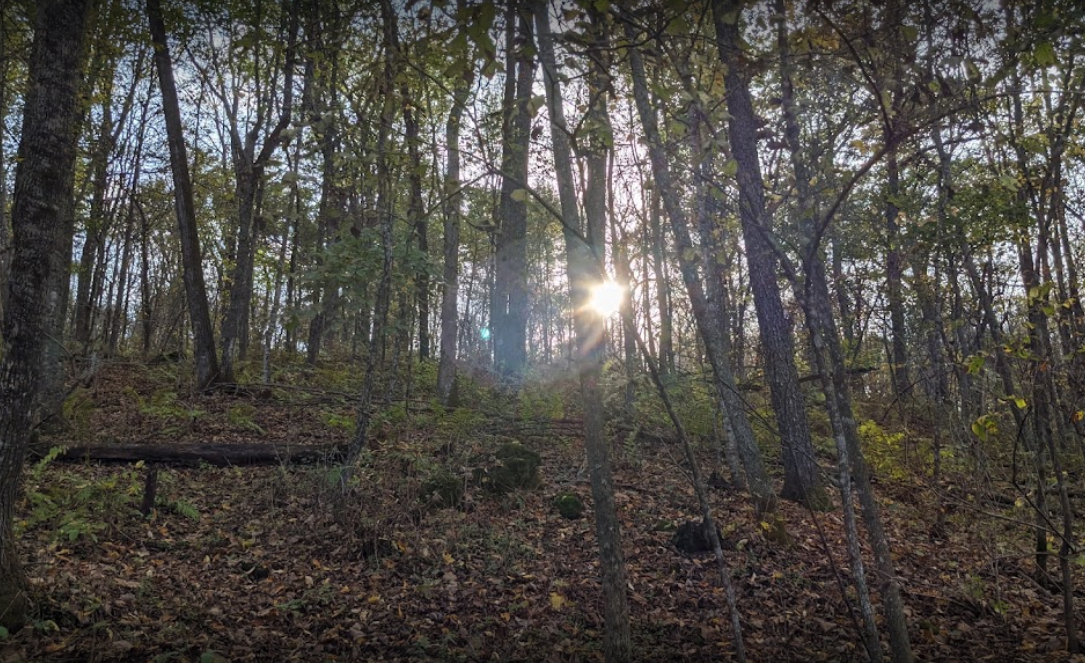 Esofea/Rentz Memorial Park Campground, Viroqua, Wisconsin