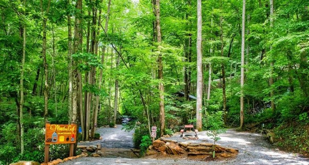 Moonshine Creek Campground, Sylva, North Carolina