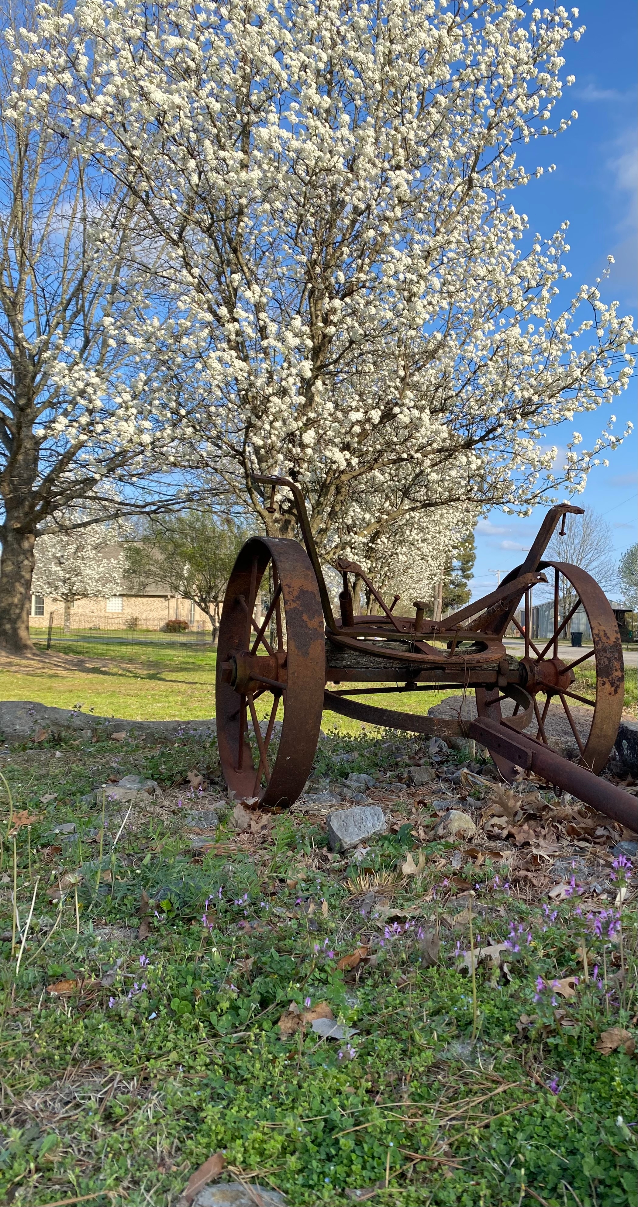 Searcy RV Resort, Kensett, Arkansas