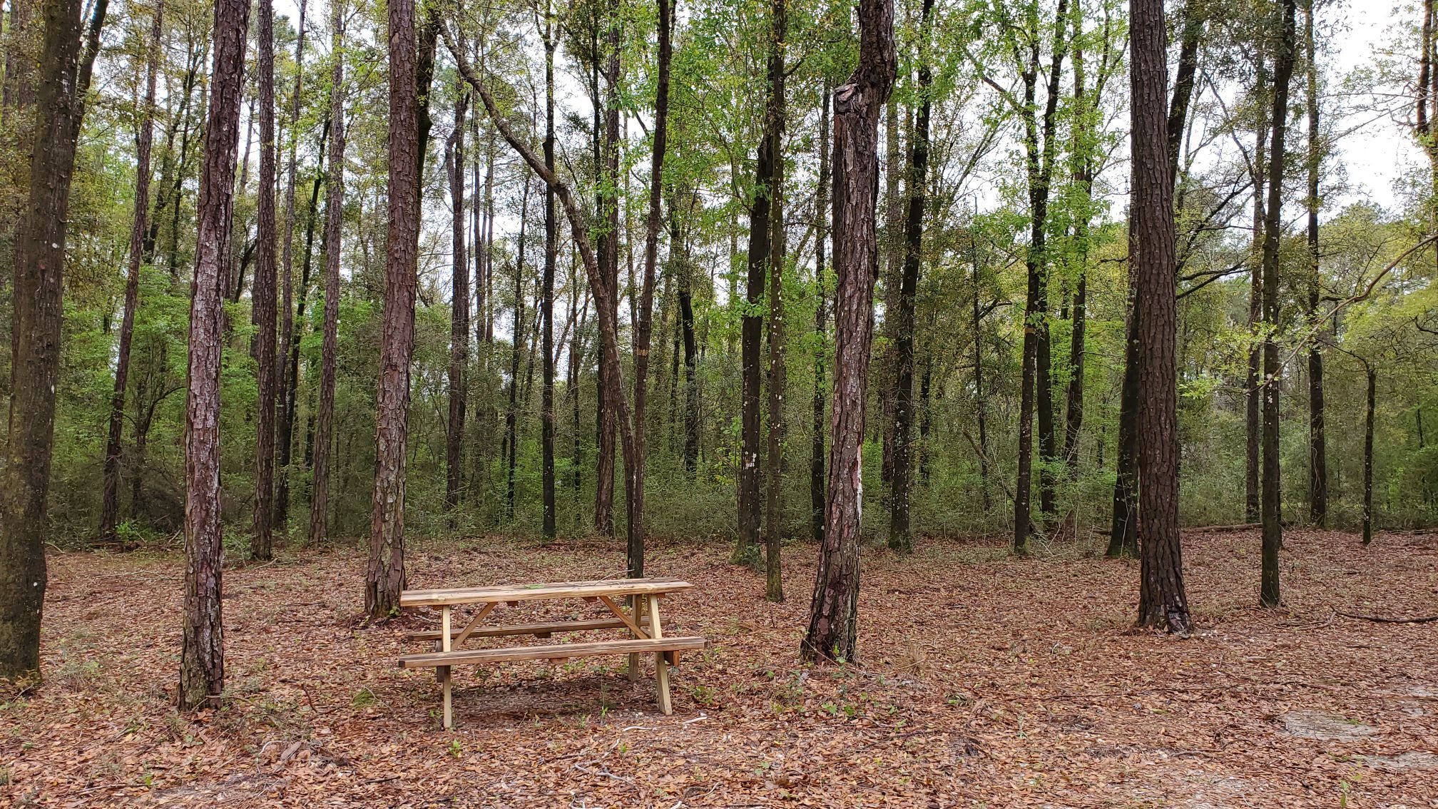 Black Creek RV Park, Freeport, Florida