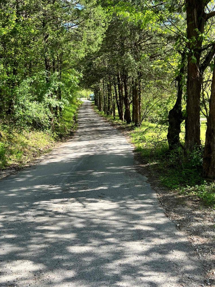 Foggy Bottom Campground, Jamestown, Kentucky