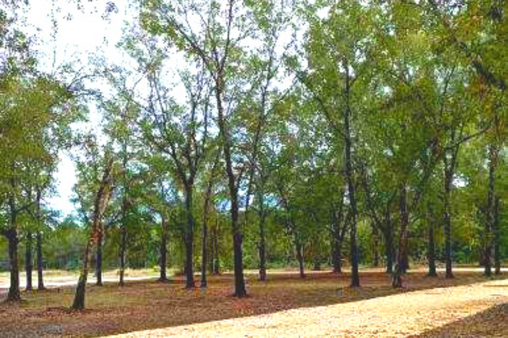 D&R RV Park & Equine Training Center