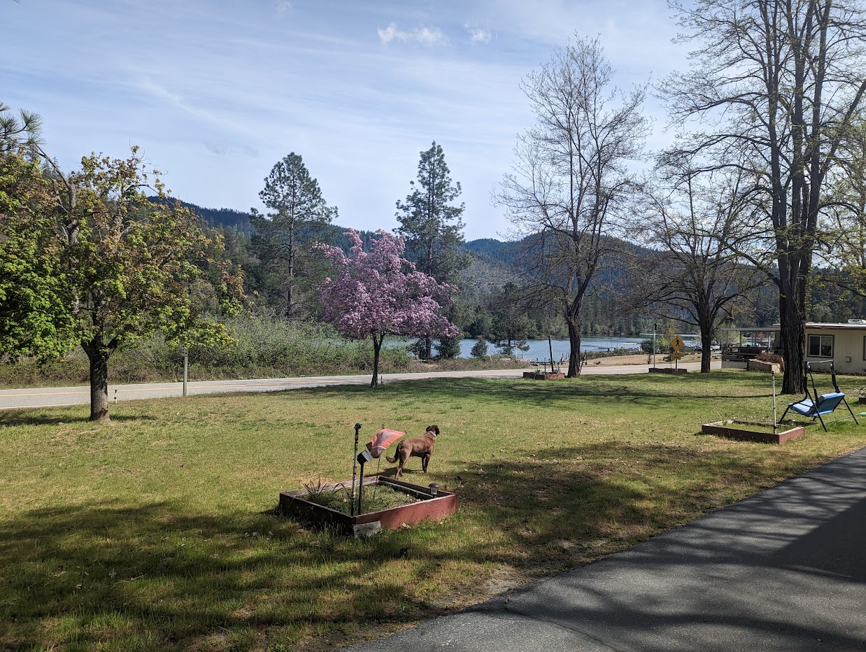Pinecove RV Park, Lewiston, California