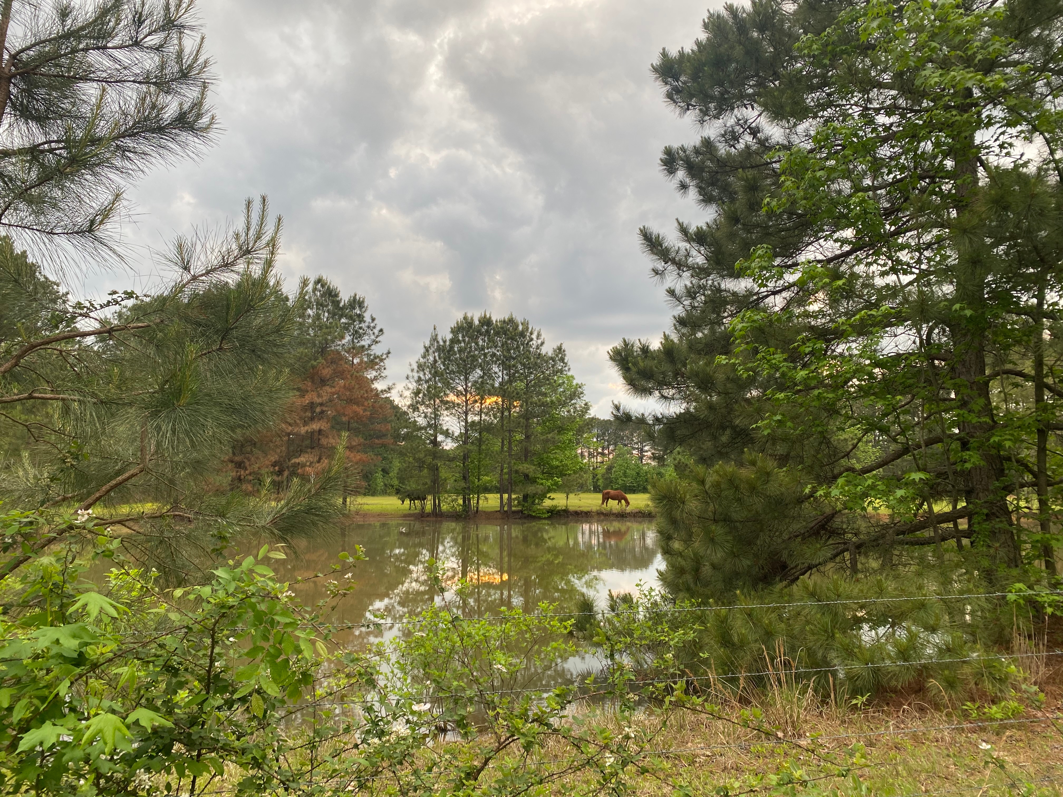 Searcy RV Resort, Kensett, Arkansas