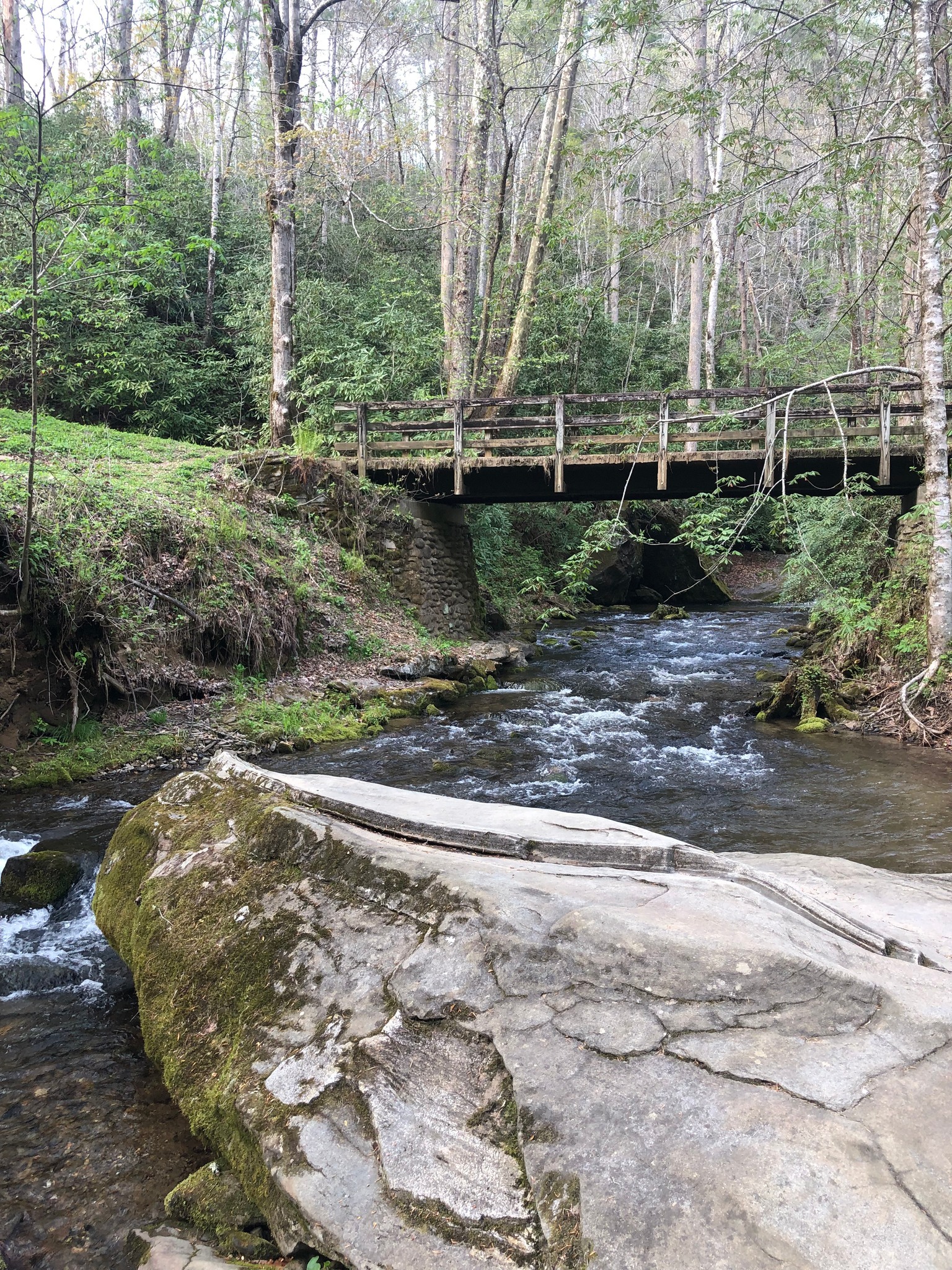 Smoky Mountain Campground