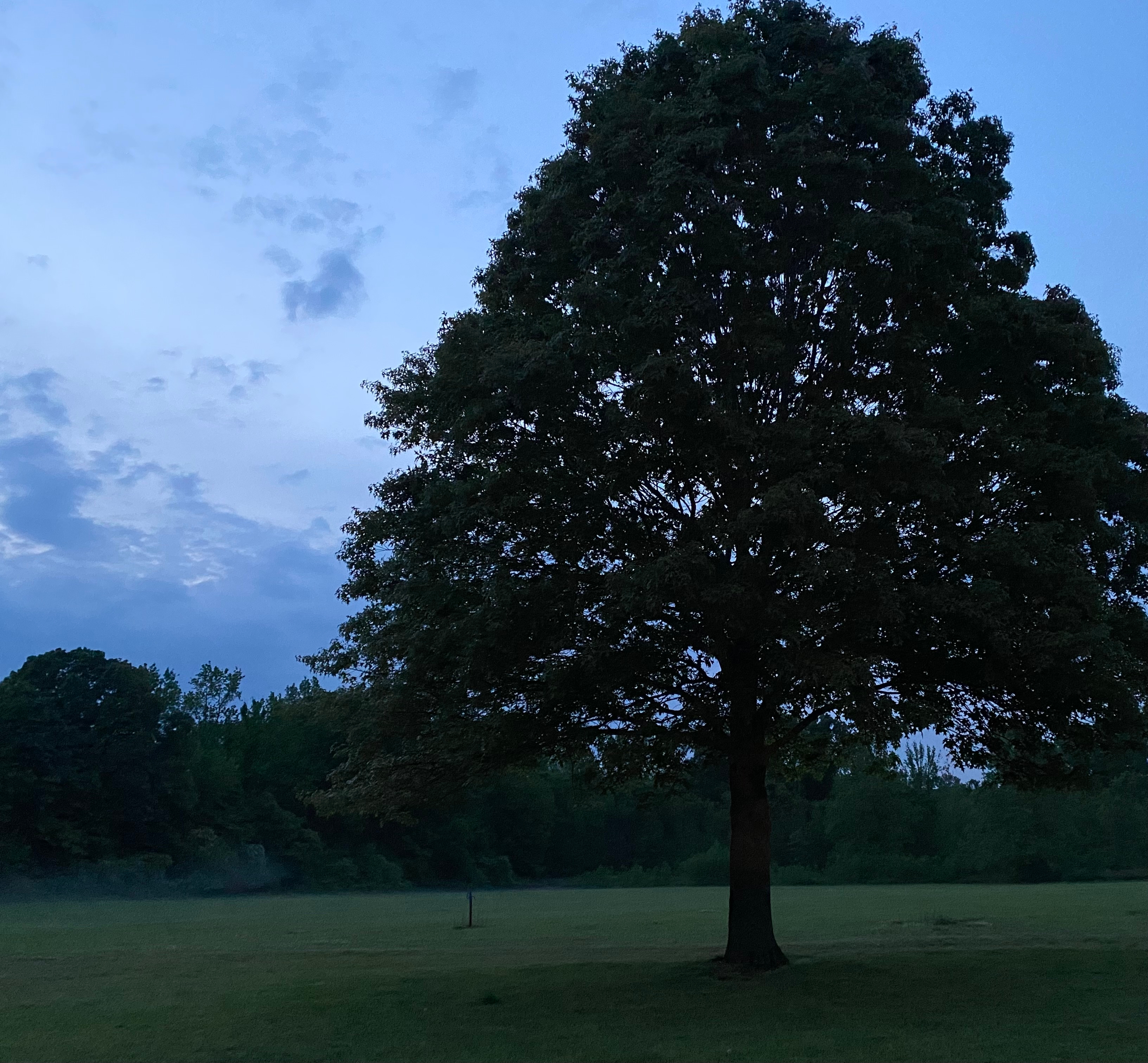 Searcy RV Resort, Kensett, Arkansas