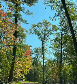 Punch Lake Campground, Arbor Vitae, Wisconsin