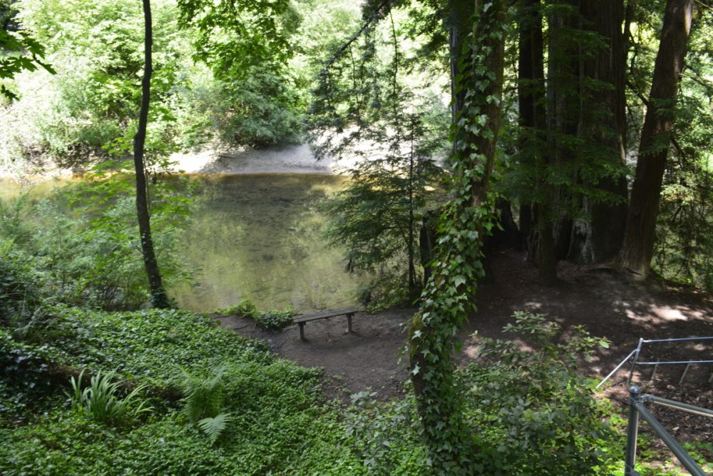 Santa Cruz Redwoods RV Resort, Felton, California