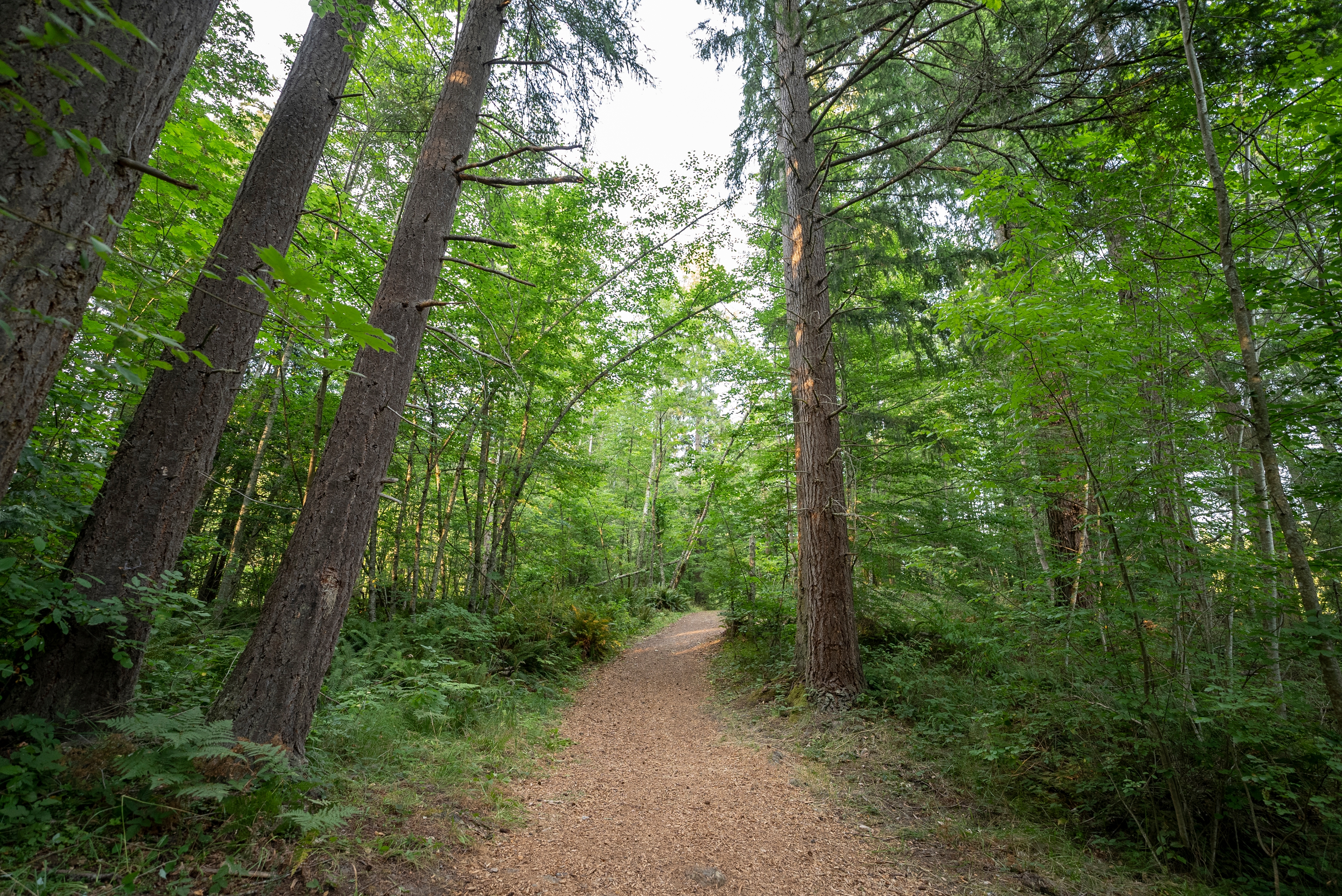 Camp Lakeview, Graham, Washington