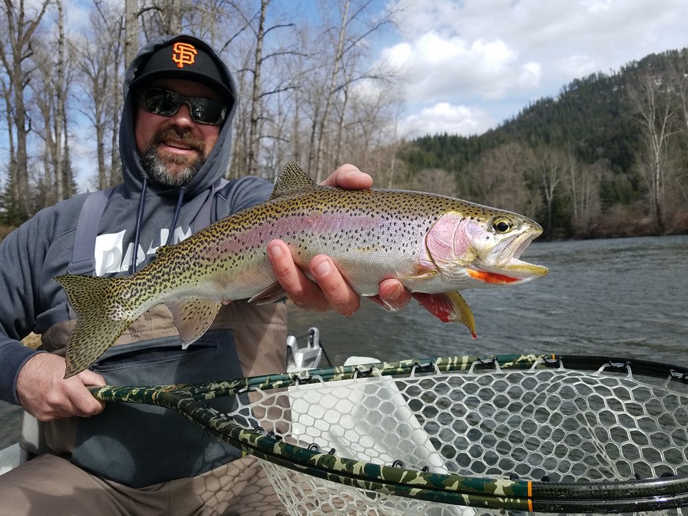 Albert's Landing Idaho