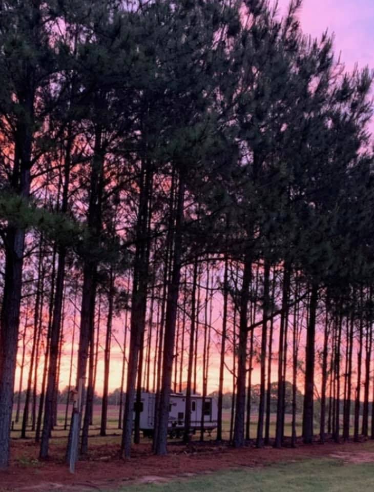 American Robin RV Park & Bird Sanctuary