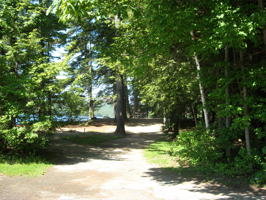 Terrace Pines Campground