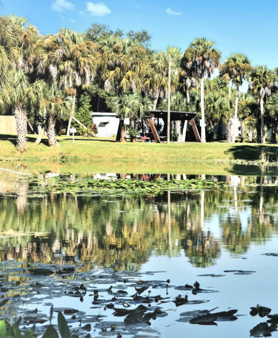 Julia Mobile Home RV Park (Age Restricted 55+)