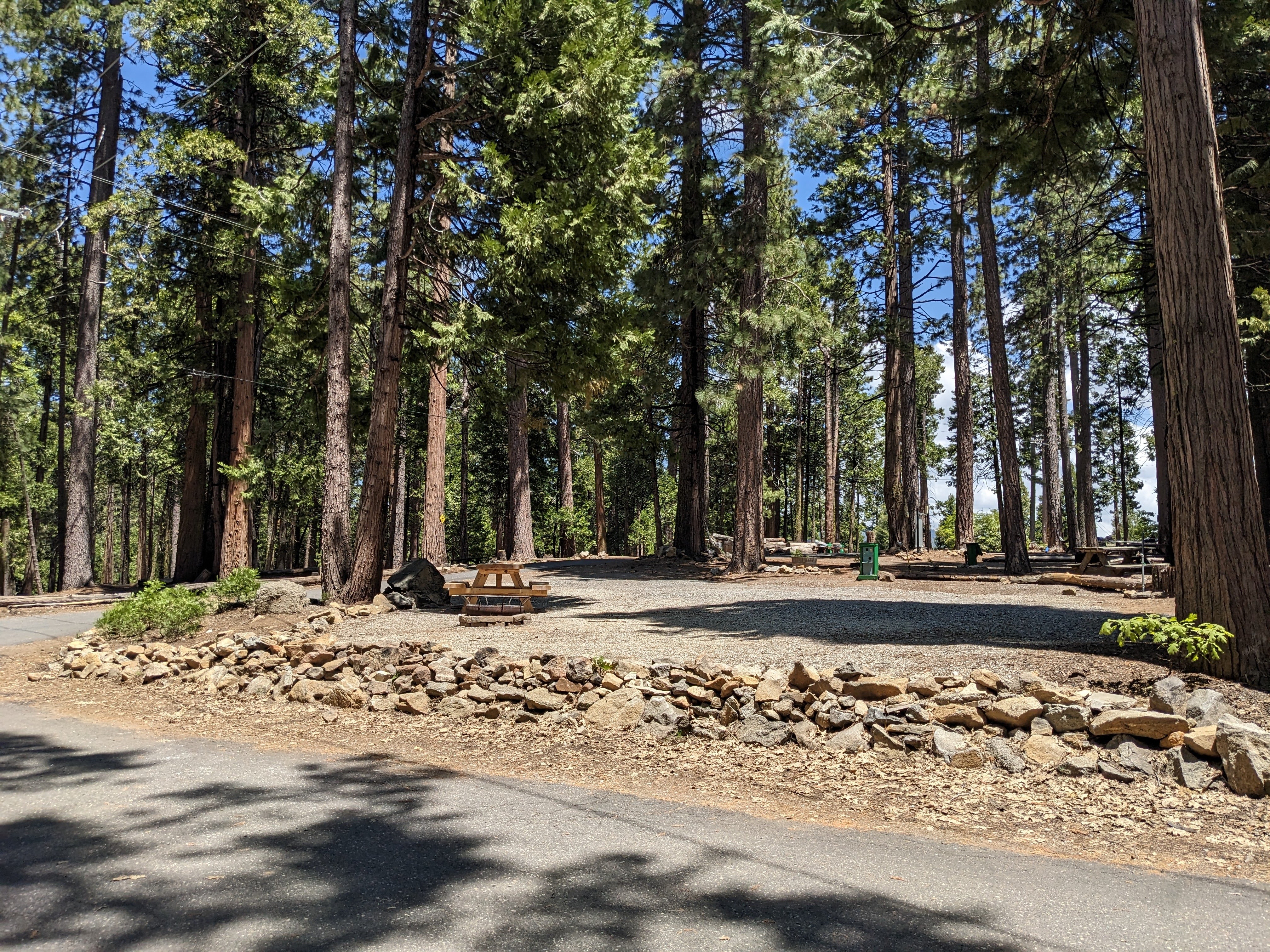 Golden Pines RV Resort, Arnold, California