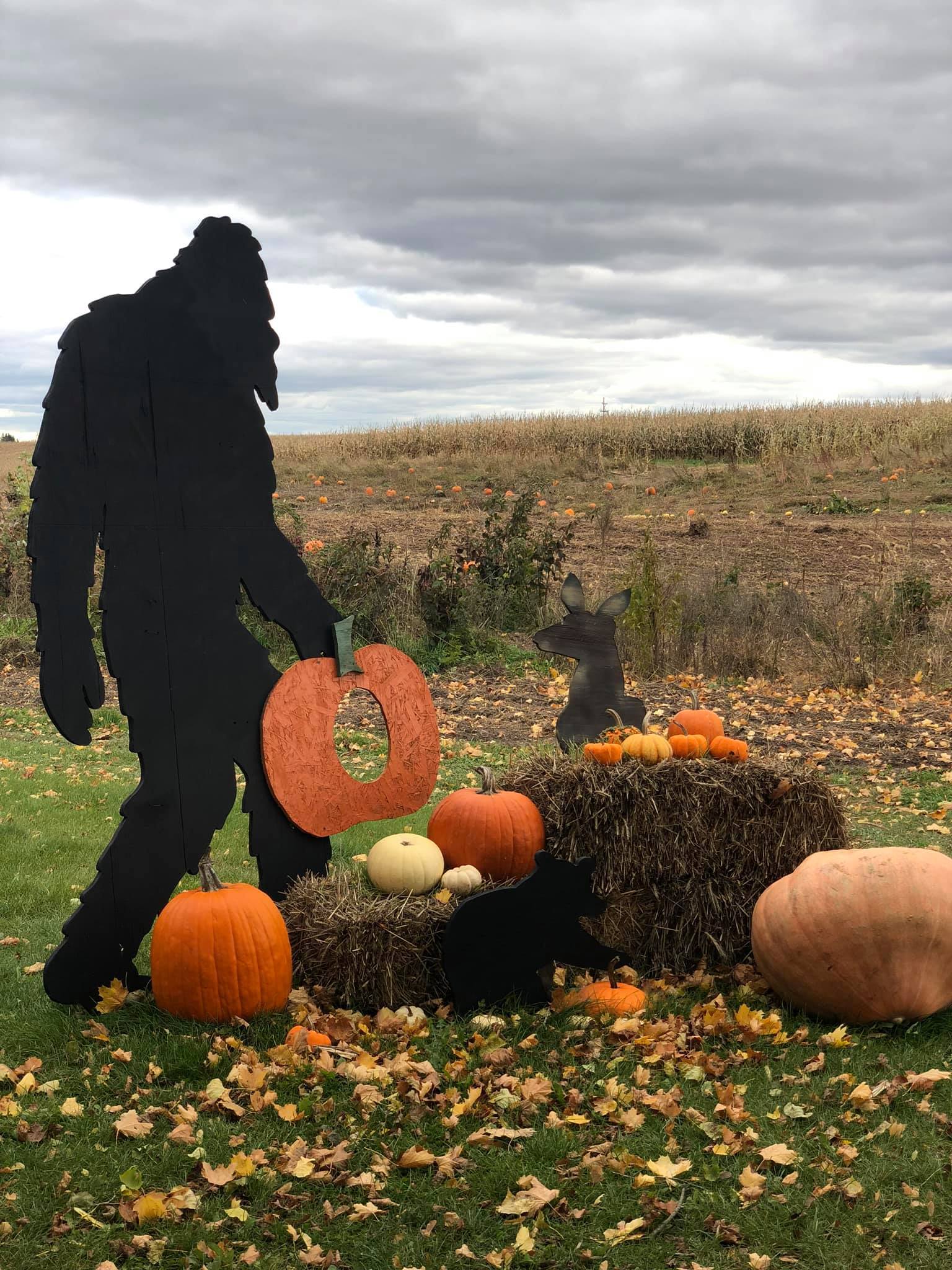 Beaver Trail Campground