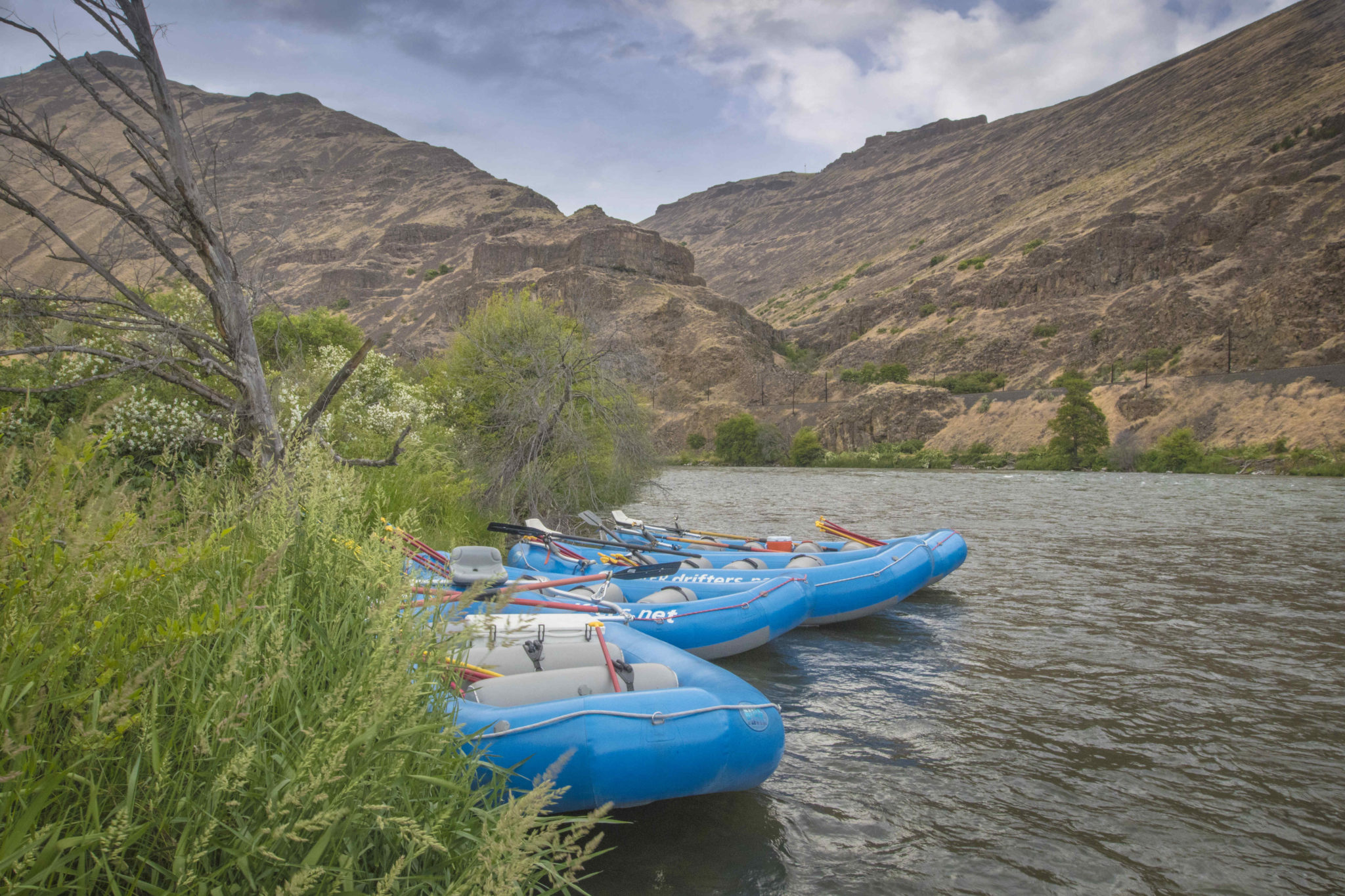 Oasis Riverview Campground