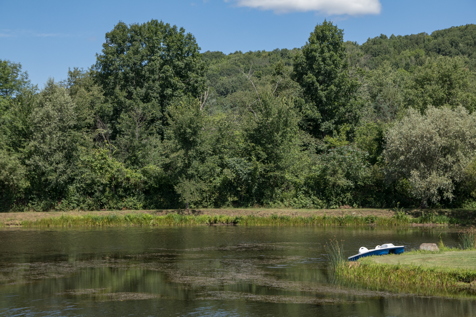 Finger Lakes Campground