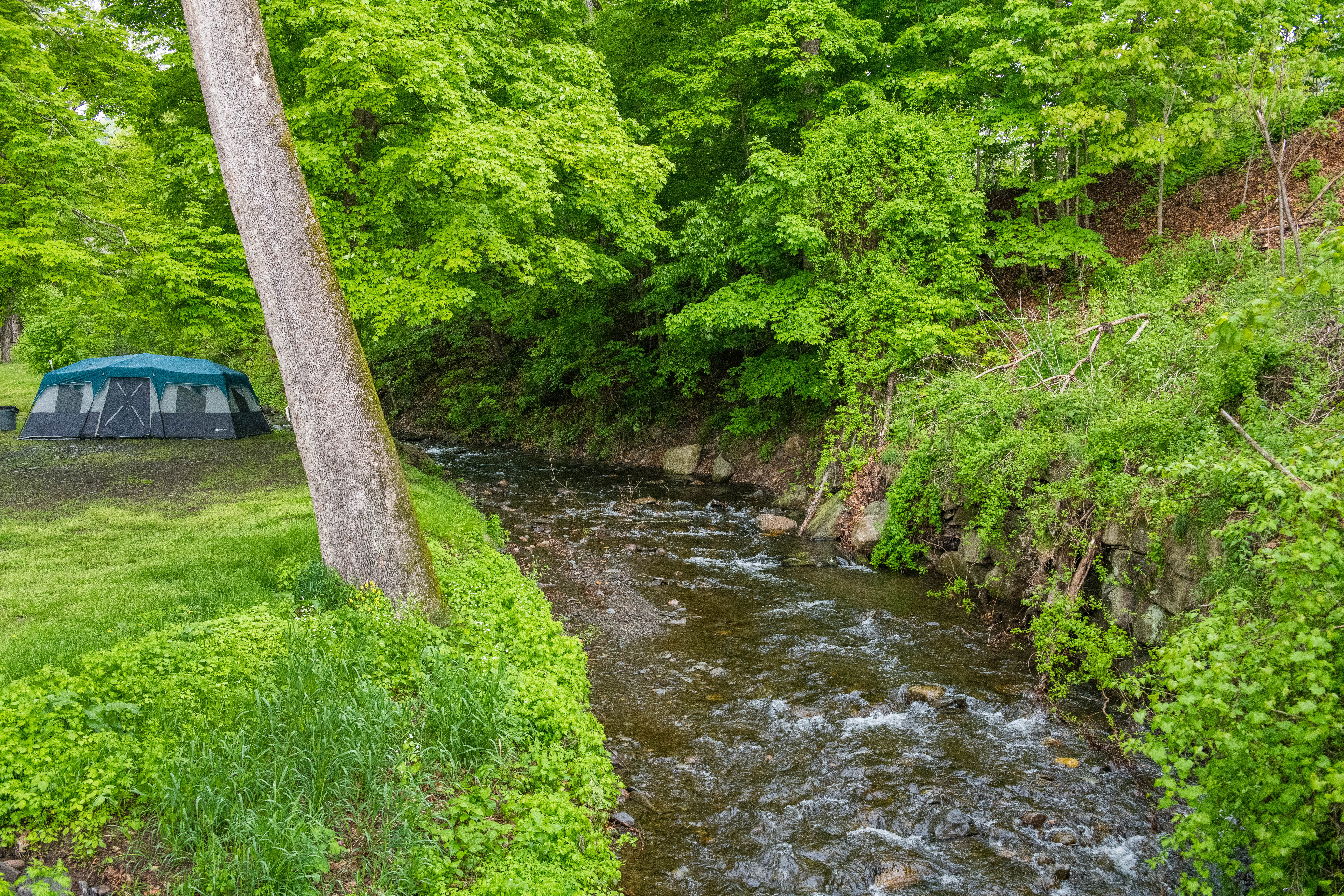 Kittatinny's River Beach Campground