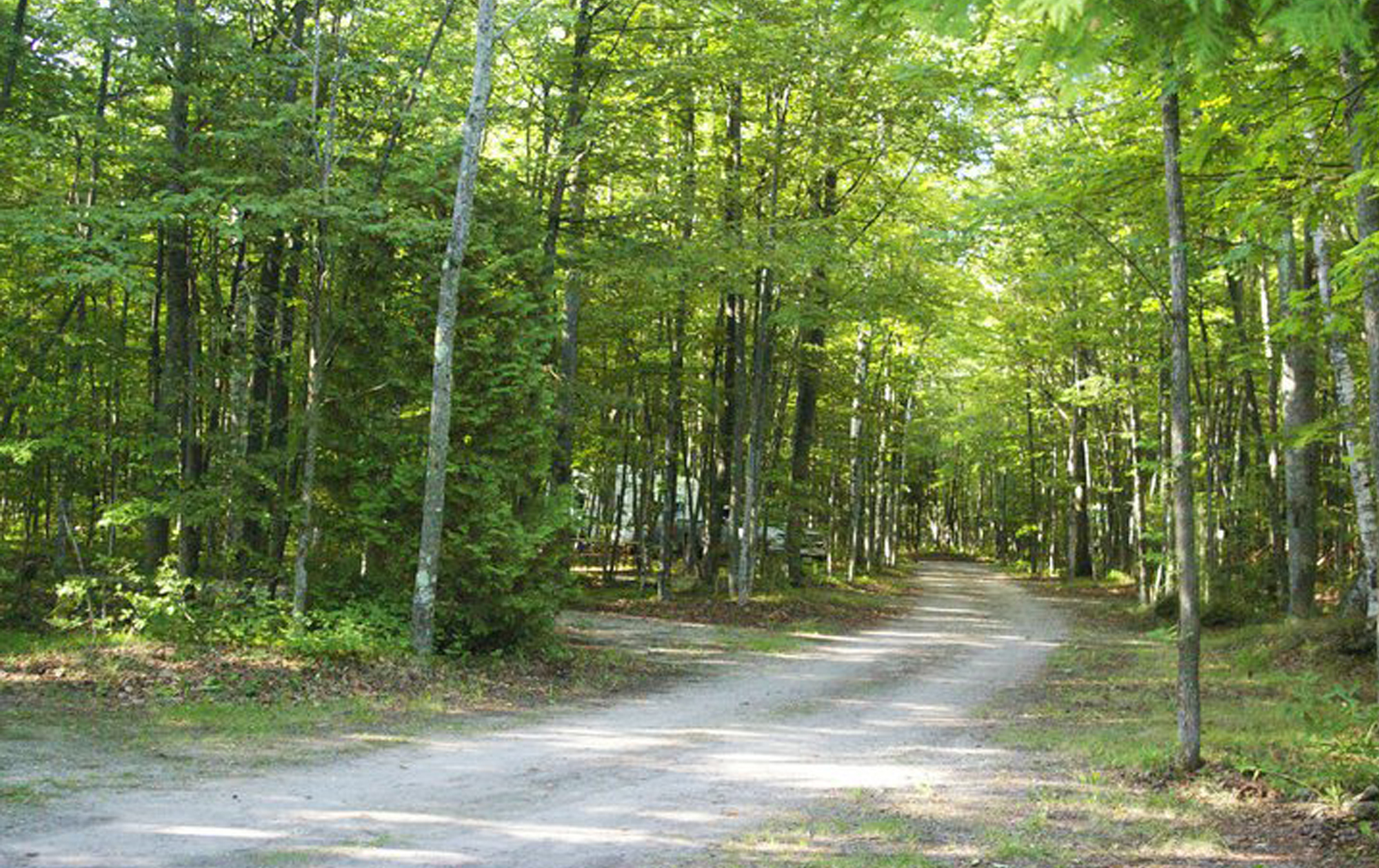 Baileys Woods Campground, Baileys Harbor, Wisconsin