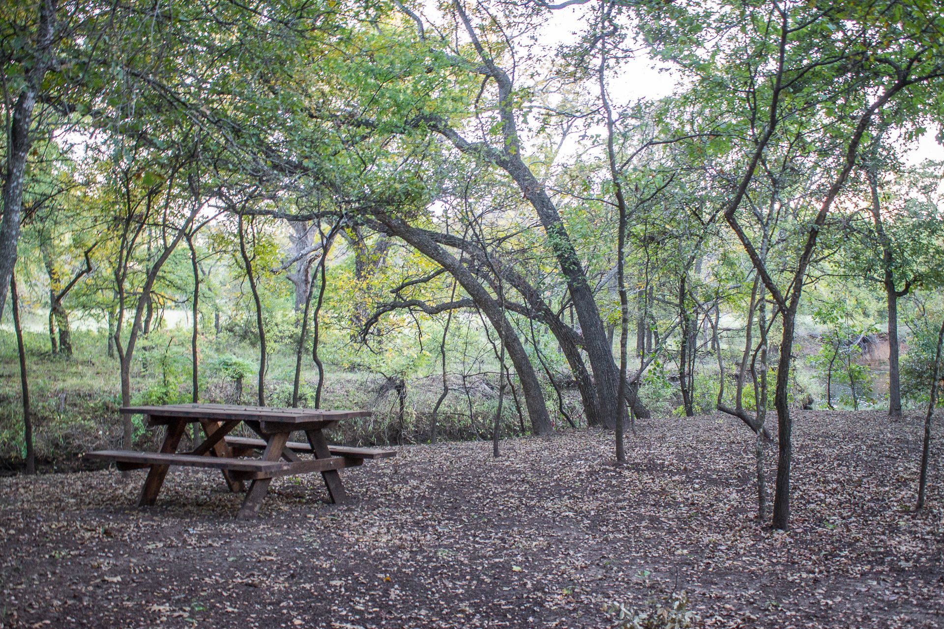 Inez Spring Riverfront Park, Eastland, Texas