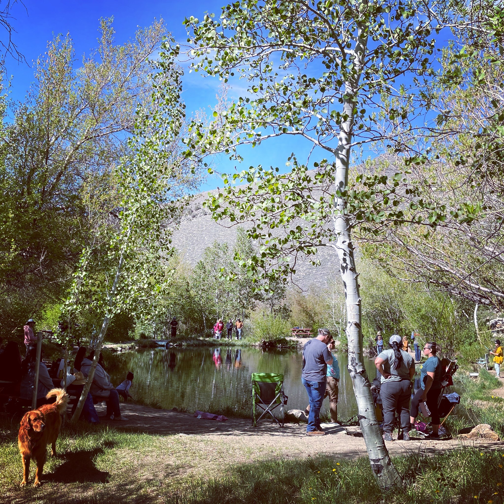 Creekside RV Park - Bishop, CA