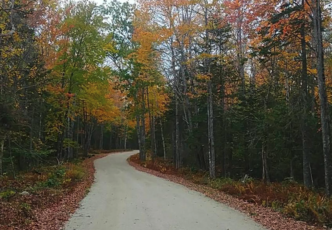 Balsam Cove Campground