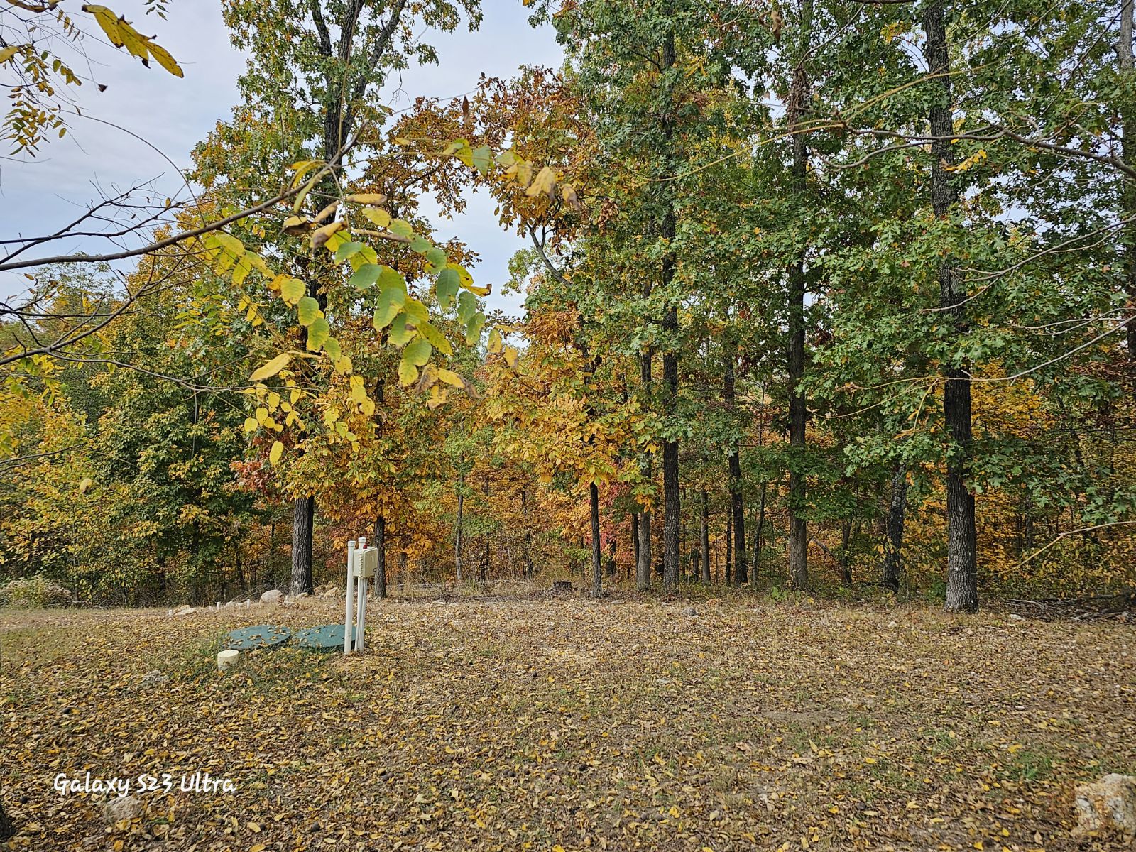 Hidden Oasis RV Park