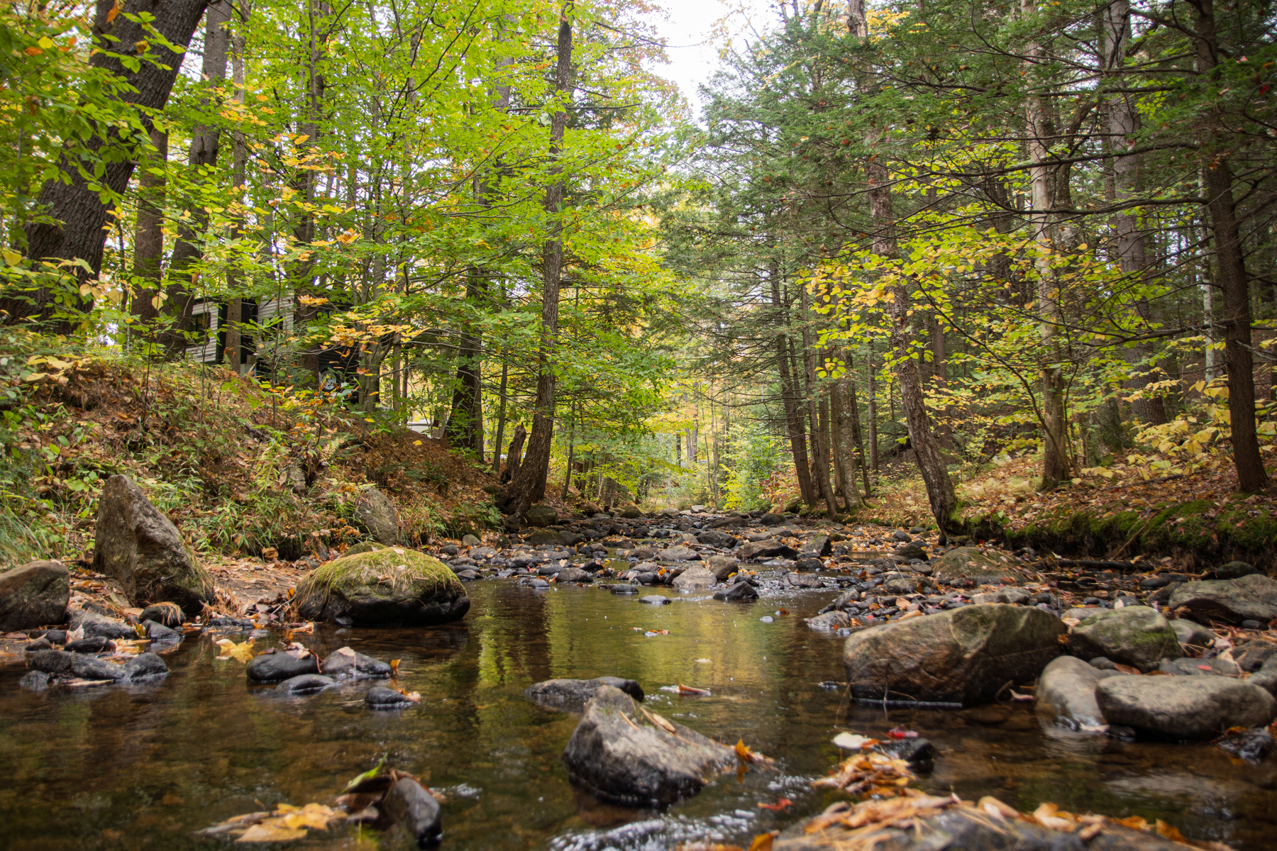 Ames Brook Campground