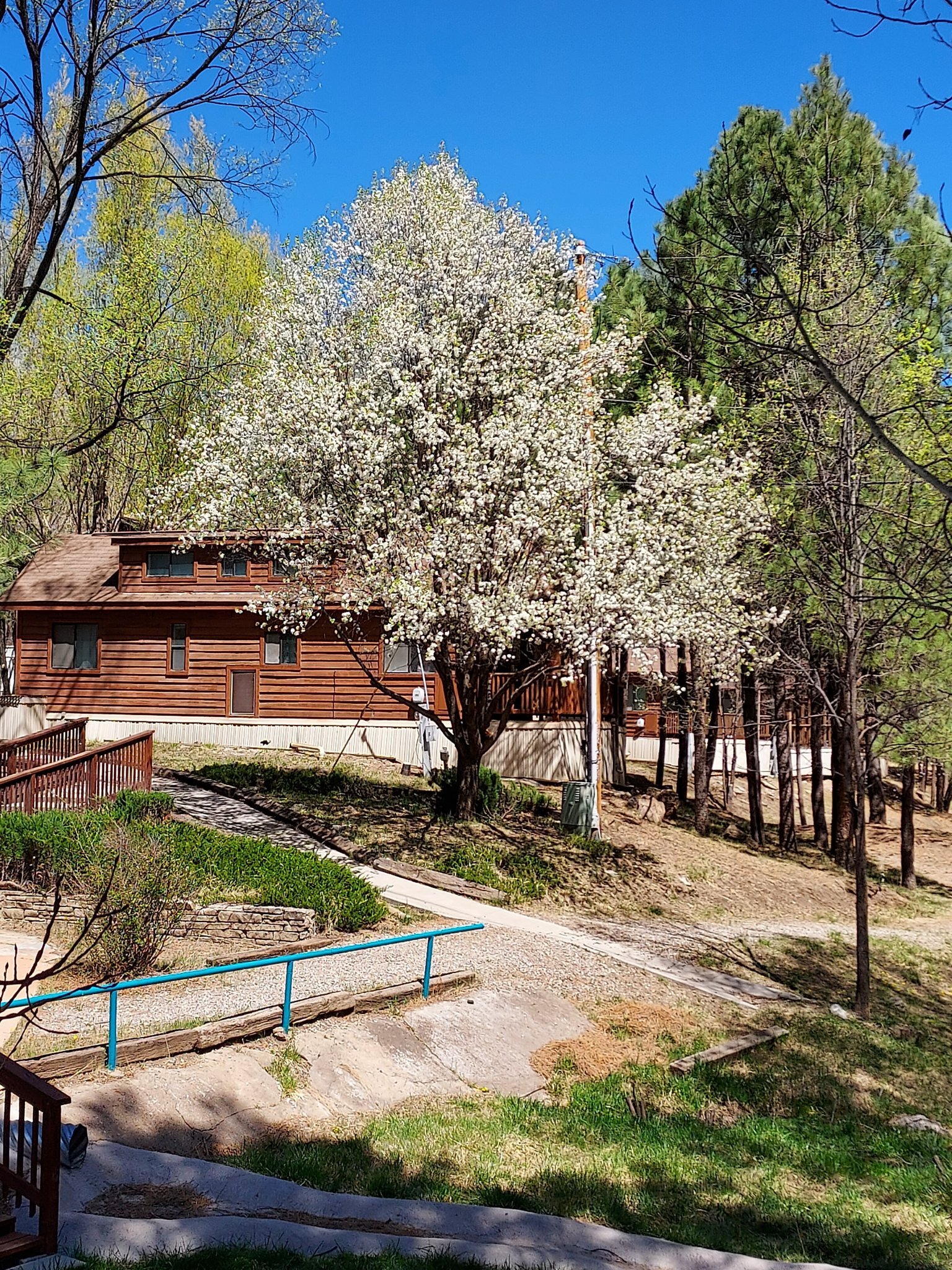 Rainbow Lake Cabin & RV