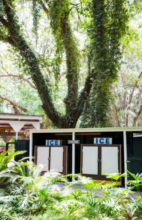 Jekyll Island Campground