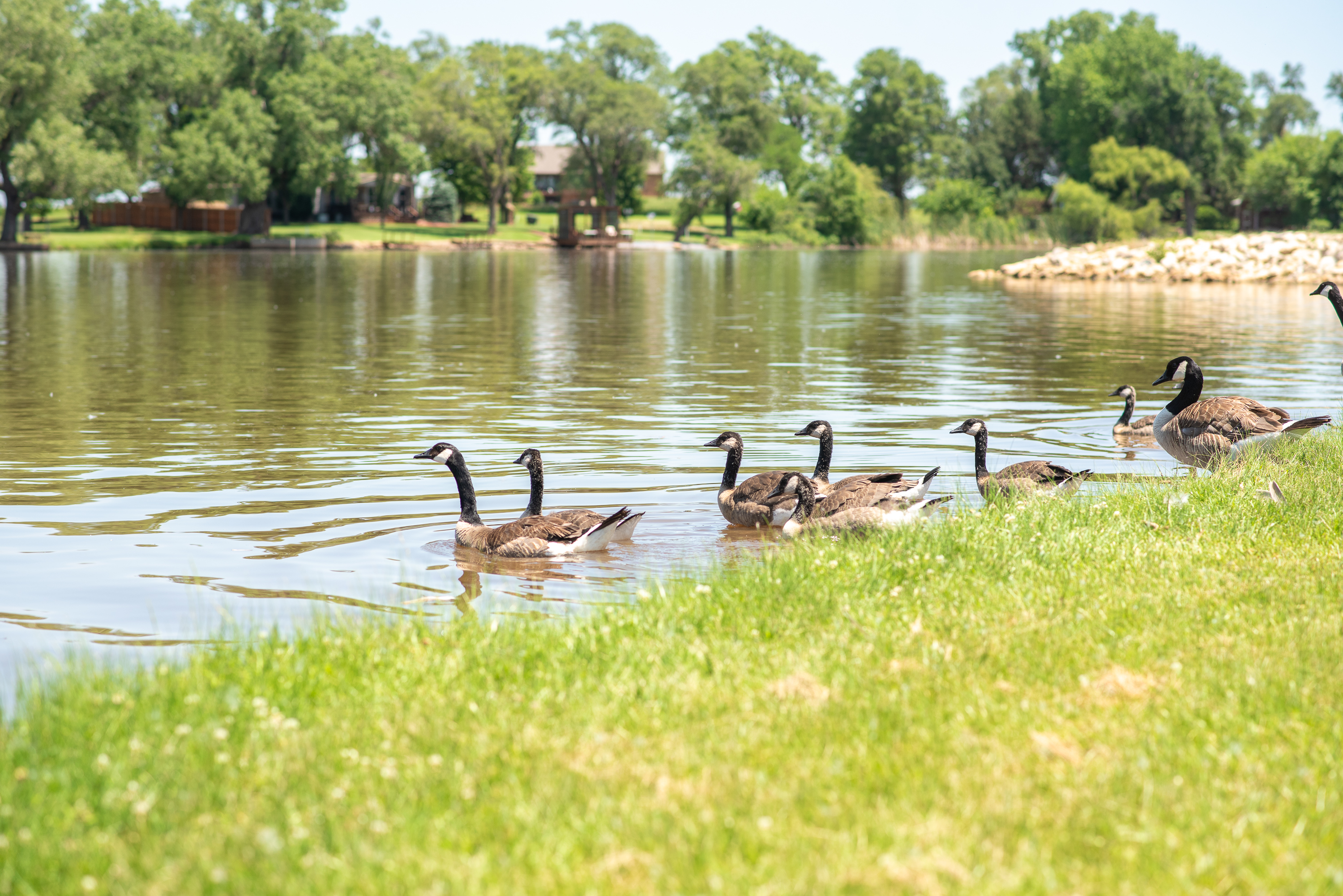 Anthony Lake Campground