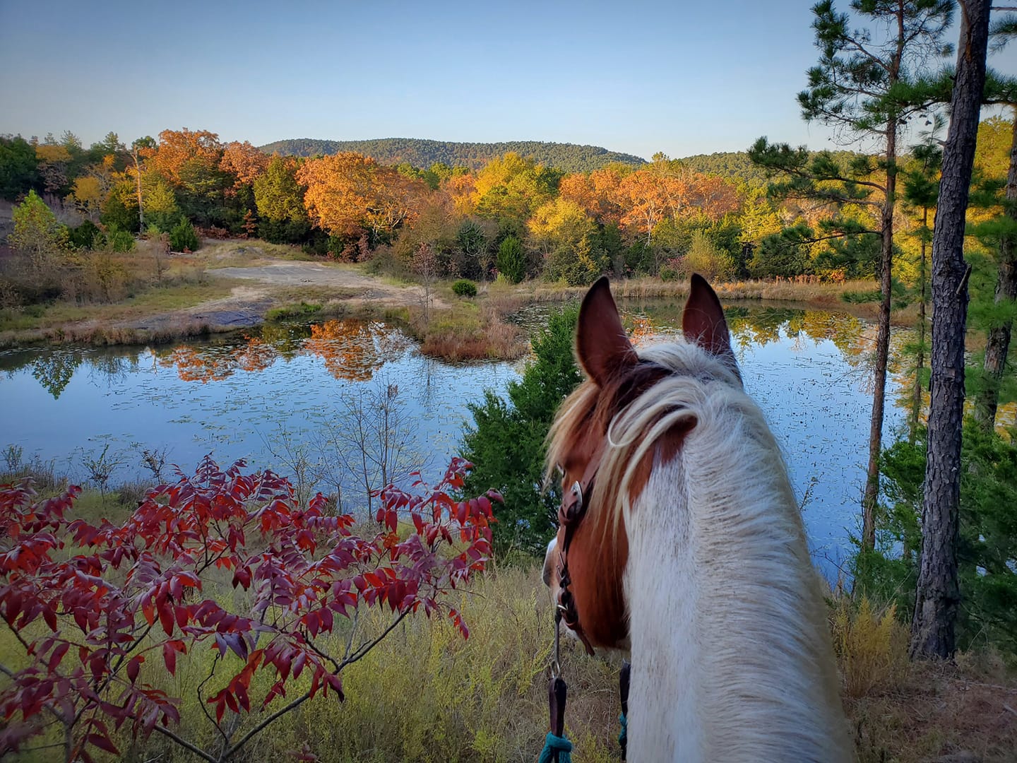 Heaven's Gate RV Park and Retreat