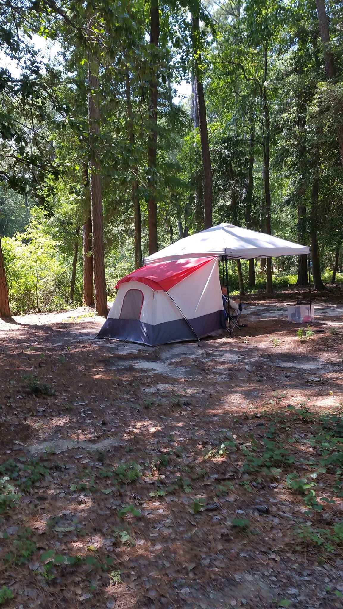 Cross Rip Campground