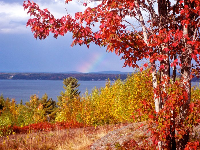 Bar Harbor Campground, Bar Harbor, Maine