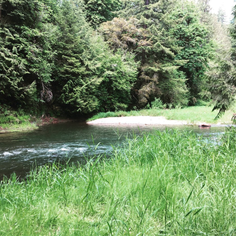 Clear Creek Station Campground