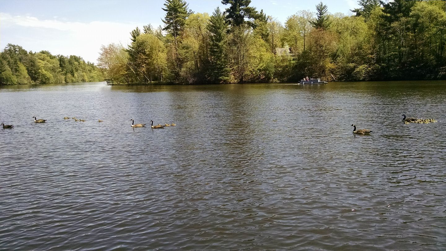 Twin Springs Campground