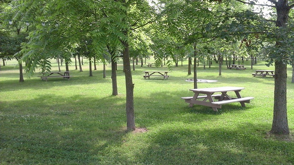 Miles Landing Campground