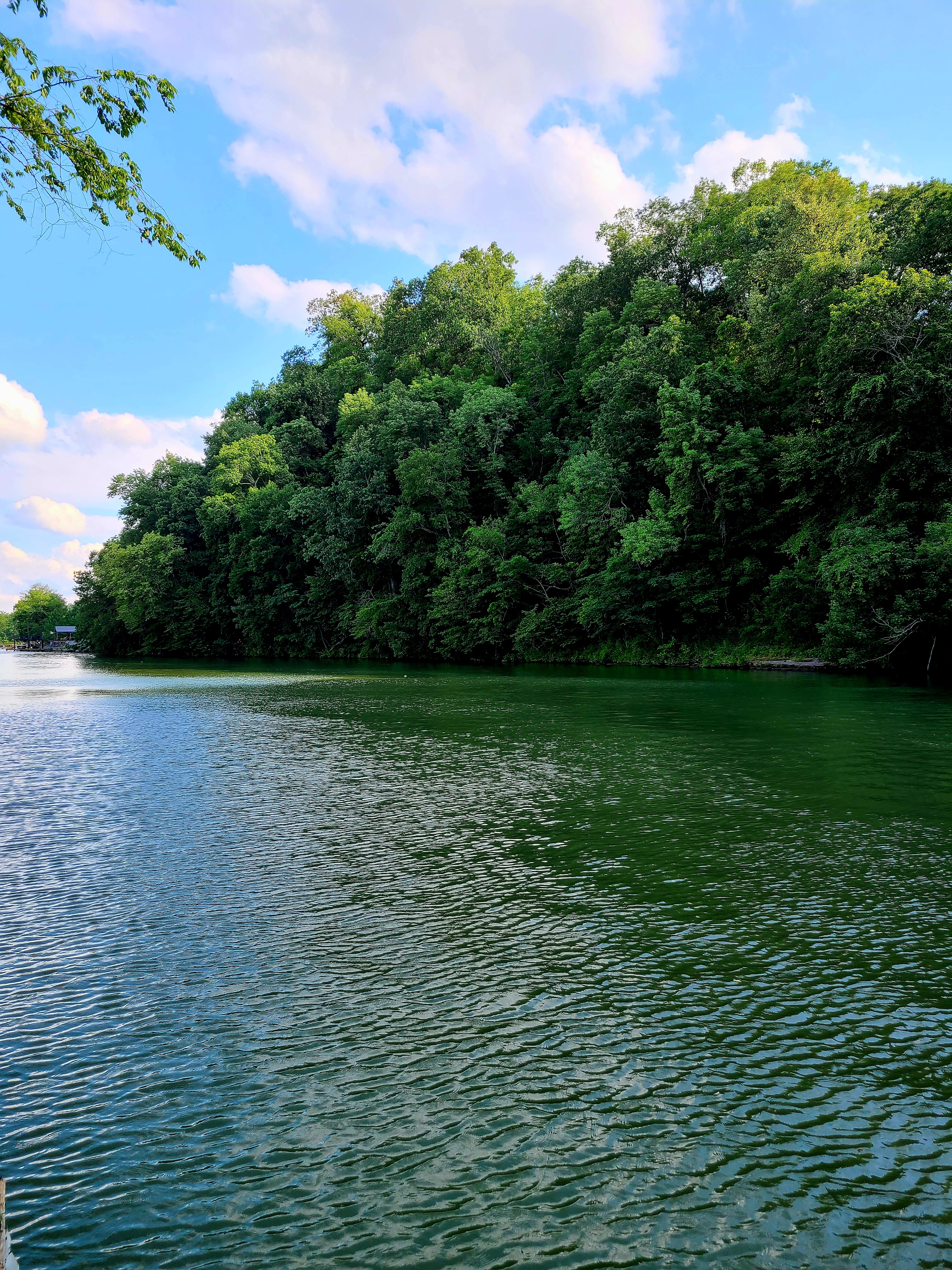 Creekside Camp, Florence, Alabama