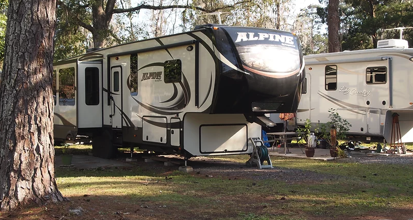Big Tree RV Park
