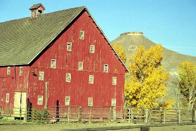 Fish House Inn and RV Resort