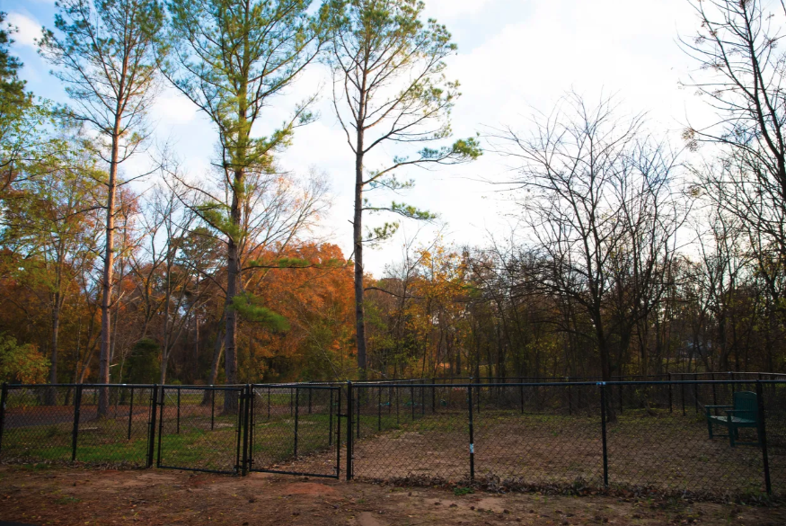 The Pines RV & Cabin Resort