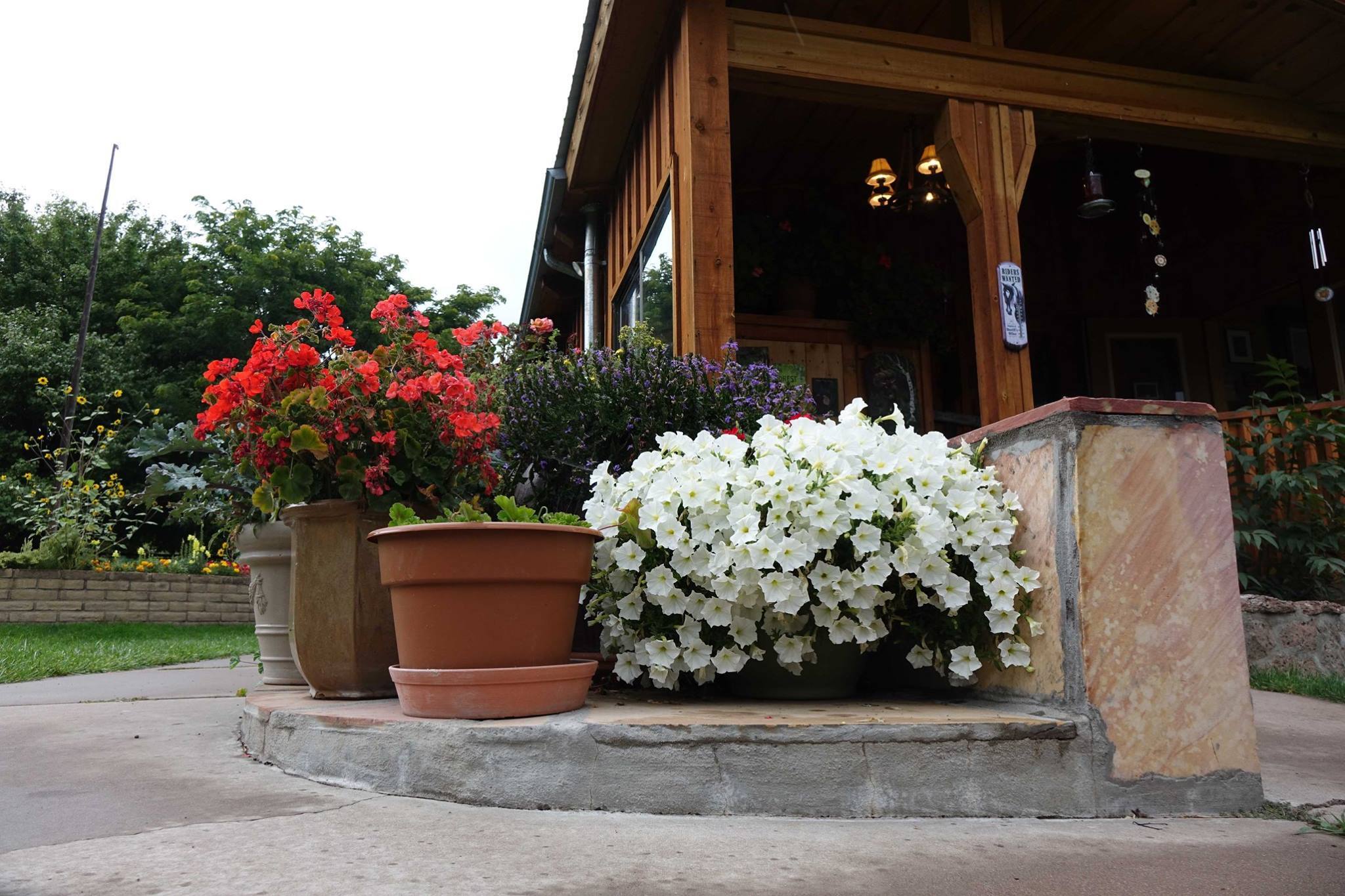 Bear Paw RV Resort (Age Restricted 55+)