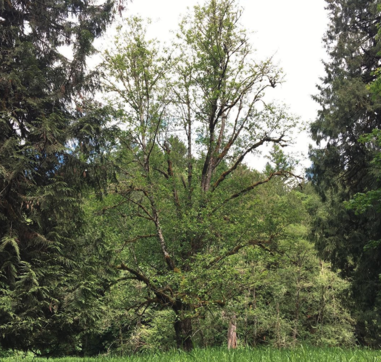 Clear Creek Station Campground