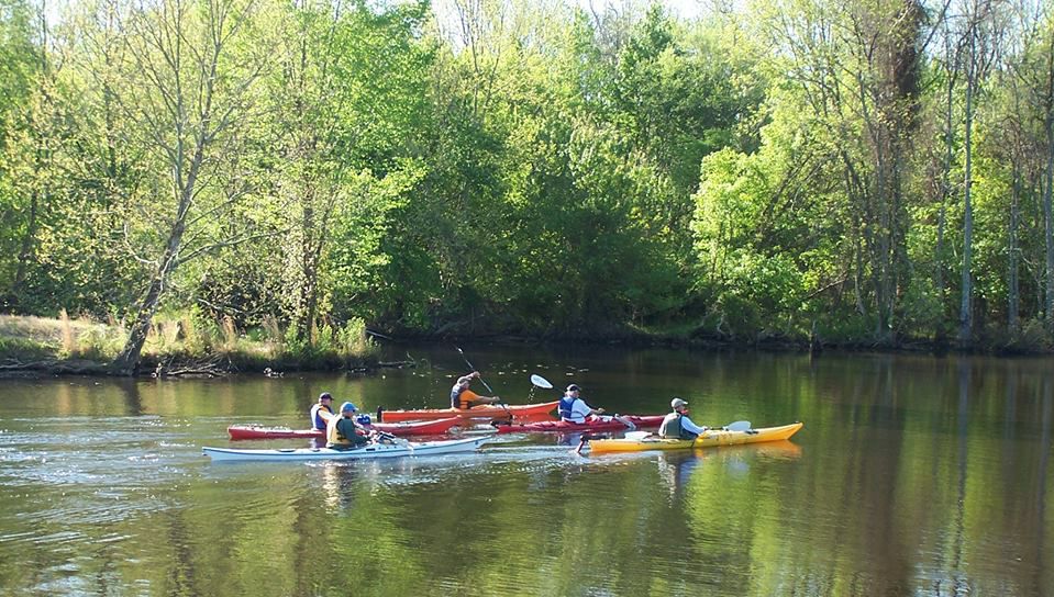 Cashie River Treehouses and Campground
