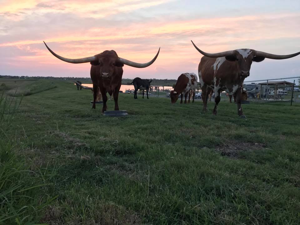 Longhorn RV Resort, Niederwald, Texas