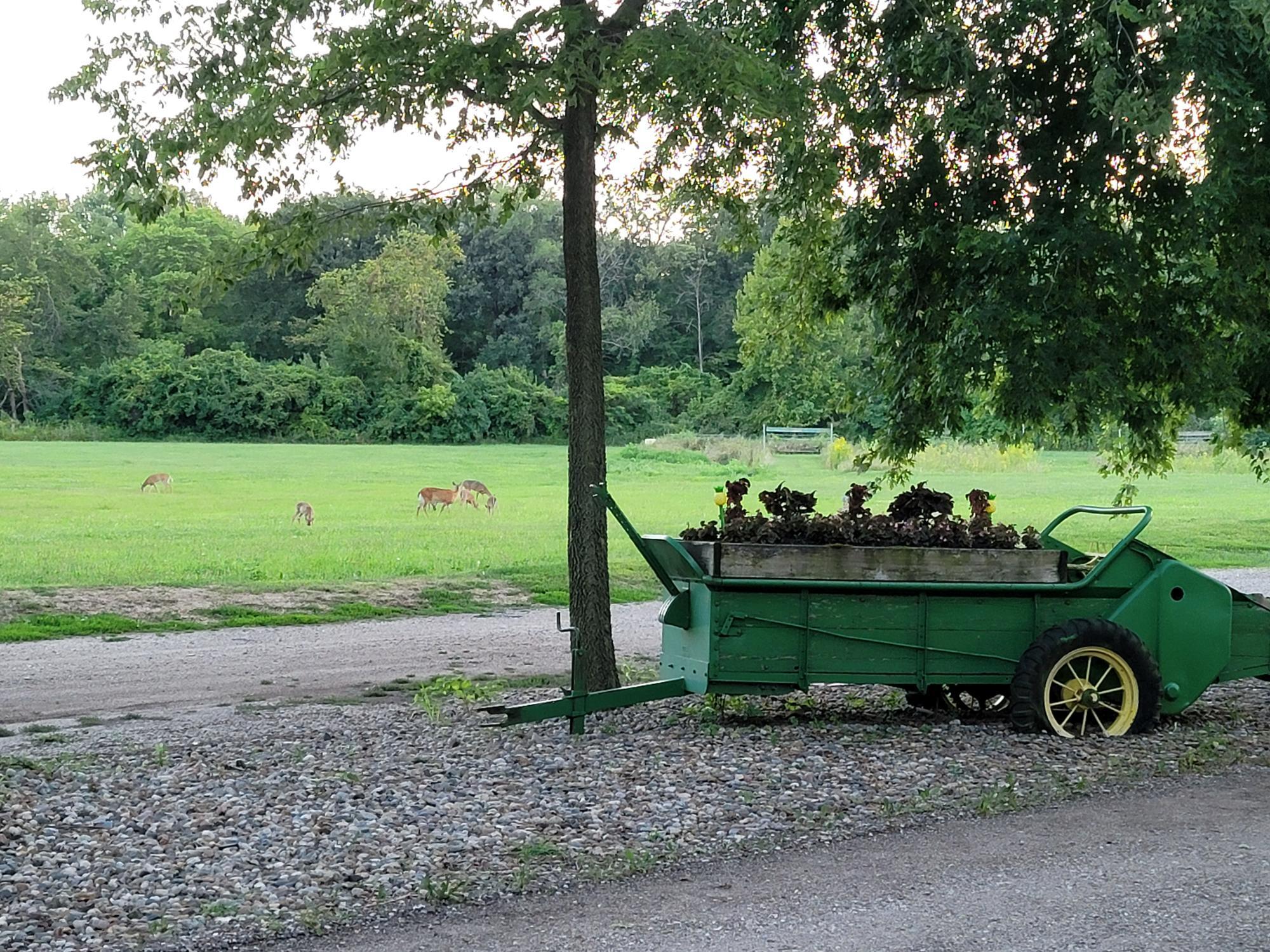 Dallas County Fairgrounds Campground