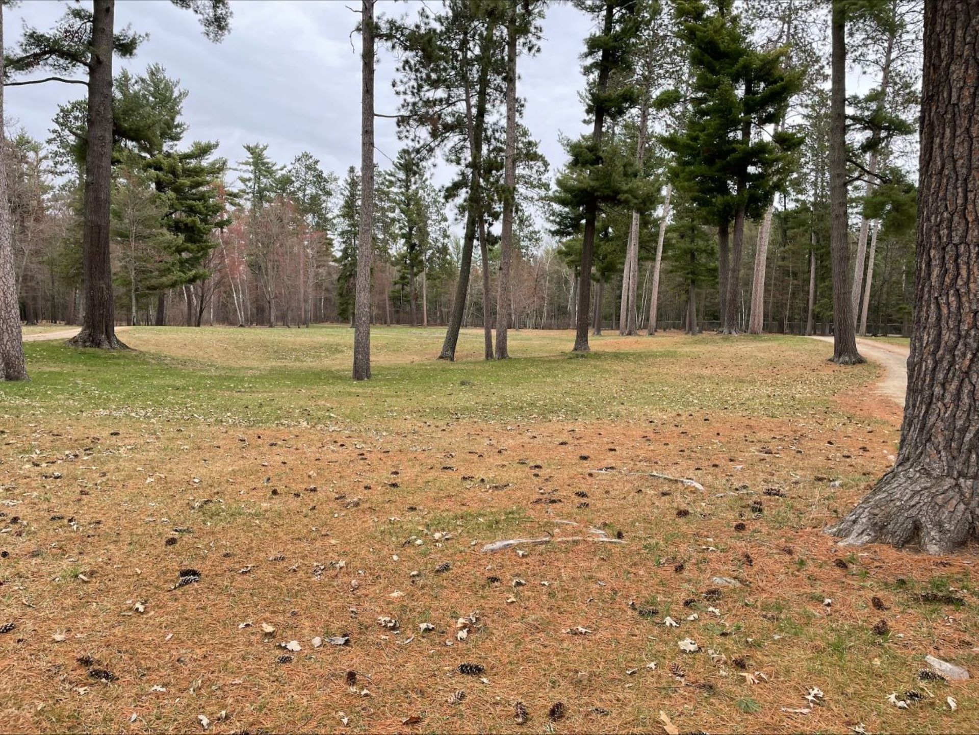 Itasca County Fairgrounds Campground, Grand Rapids, Minnesota